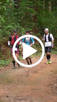 BIB:  <button type="button" onclick="openModal(26813874)" class="btn btn-primary btn-sm float-right" data-toggle="modal" data-target=".modal-high-quality">
                <i class="fa fa-download"></i> Download
                </button>